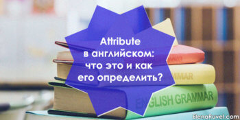 Attribute в английском языке: что это и как его определить?