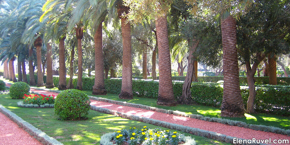 бахайские сады, хайфа, израиль