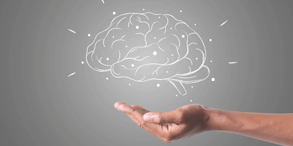 5 способов использовать нейропластичность для изучения языков