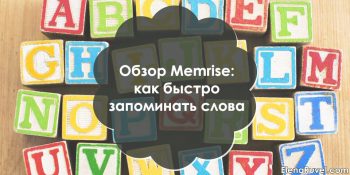 Обзор Memrise: как быстро запоминать слова